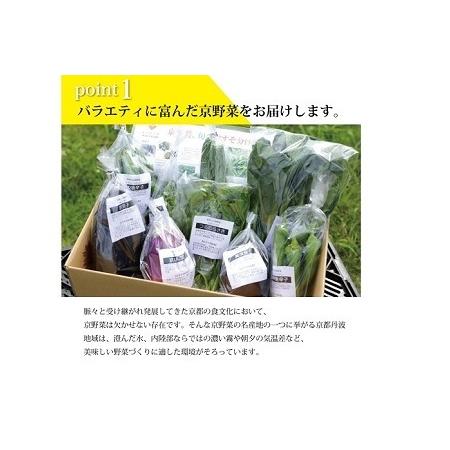 ふるさと納税 【京丹波の野菜】旬の京野菜セット レギュラーコース【 野菜 野菜詰め合わせ 野菜セット 京野菜 】[011KH001] 京都府京丹波町の画像
