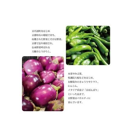 ふるさと納税 【京丹波の野菜】旬の京野菜セット レギュラーコース【 野菜 野菜詰め合わせ 野菜セット 京野菜 】[011KH001] 京都府京丹波町の画像