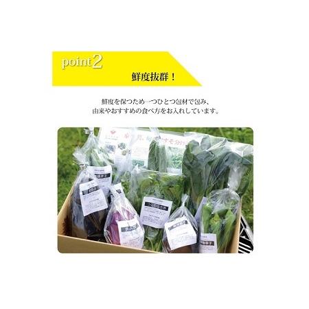 ふるさと納税 【京丹波の野菜】旬の京野菜セット レギュラーコース【 野菜 野菜詰め合わせ 野菜セット 京野菜 】[011KH001] 京都府京丹波町の画像