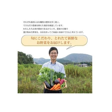 ふるさと納税 【京丹波の野菜】旬の京野菜セット レギュラーコース【 野菜 野菜詰め合わせ 野菜セット 京野菜 】[011KH001] 京都府京丹波町の画像