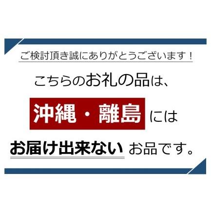 ふるさと納税 スッキリ飲み比べ りんごジュース