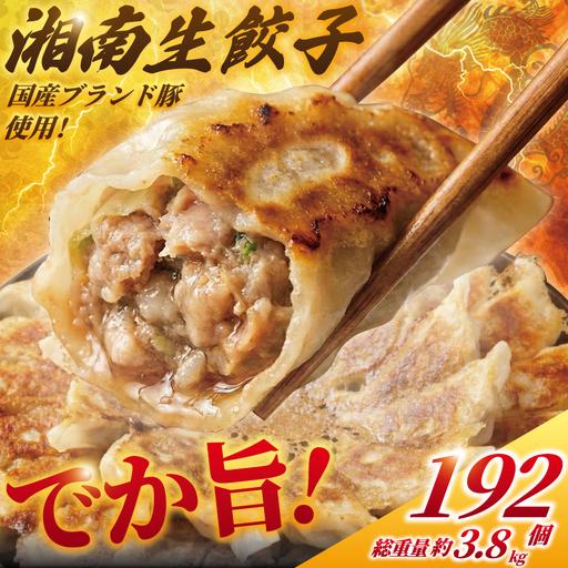 ふるさと納税 [ ブランド豚使用 ] 湘南生餃子 192個 約3.8kg 餃子 ぎょうざ 神奈川県藤沢市