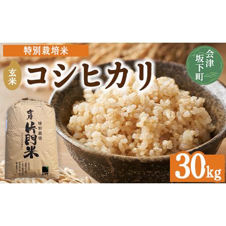ふるさと納税 3-D コシヒカリ 玄米 会津 30kg 令和7年産 ｜ 特別栽培米