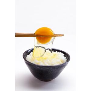 ふるさと納税 33-K 【12か月定期便】平飼い会津地鶏の卵 3kg（50〜60個） ※沖縄・離島への送りとどける不可 福島県会津坂下町