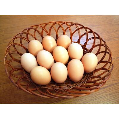 ふるさと納税 33-K 【12か月定期便】平飼い会津地鶏の卵 3kg（50〜60個） ※沖縄・離島への送りとどける不可 福島県会津坂下町