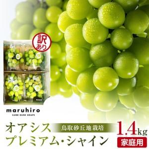 ふるさと納税 【ふるなびWEEK対象】915.【先行予約】シャイン
