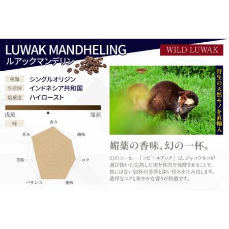 ふるさと納税 【お中元用】幻のコーヒー　コピ・ルアック【豆のまま】（3551） 愛知県知立市_2