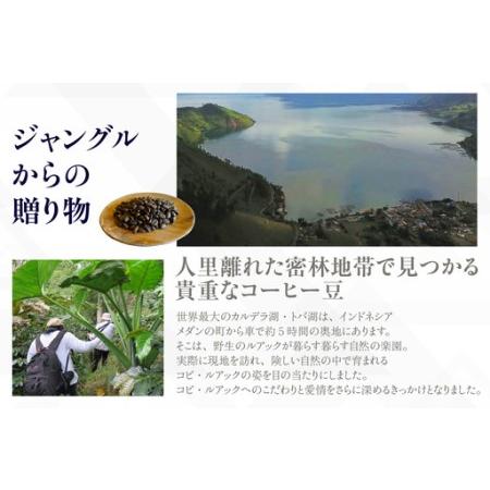 ふるさと納税 【お中元用】幻のコーヒー　コピ・ルアック【豆のまま】（3551） 愛知県知立市_3