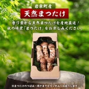ふるさと納税 【2026秋発送】岩泉まつたけ 直送 500g_野菜 松茸 きのこ まつたけ マツタケ_【配送不可地域：離島】【1423376】 岩手県岩泉町_1