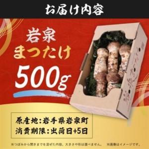 ふるさと納税 【2026秋発送】岩泉まつたけ 直送 500g_野菜 松茸 きのこ まつたけ マツタケ_【配送不可地域：離島】【1423376】 岩手県岩泉町_3