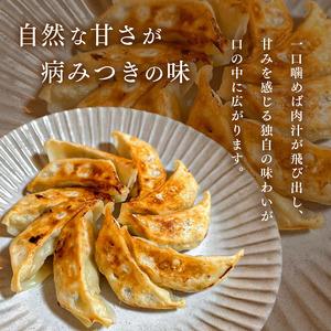 ふるさと納税 【定期便 3回】 冷凍餃子 10人前 50個 | 餃子 冷凍 餃子 惣菜 冷凍 食品 定期 定期便 3回 大ちゃんラーメン 君津 きみつ 千葉県 千葉県君津市_2