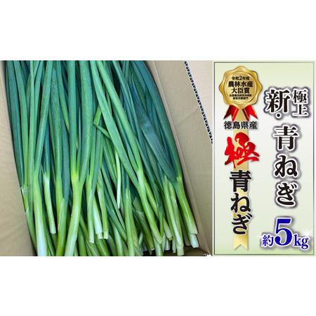 ふるさと納税 青ねぎ 5kg ネギ 葱 極上 薬味 国産 野菜 ねぎ 徳島県