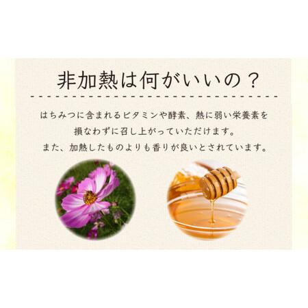 ニホンミツバチの百花蜜 国産天然ハチミツ 1180グラム 2本