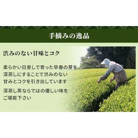 ふるさと納税 【かえで缶】学生さん達と考えた 深蒸し茶 ギフトセット！ 絵柄が選べる200g缶 （200g×2缶 計400g）！ センスが光る オシャレ.. 静岡県菊川市の画像