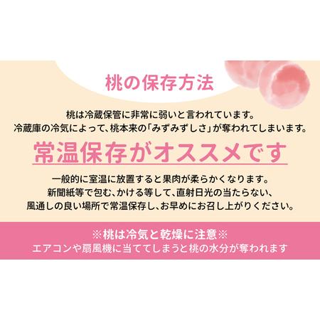 ふるさと納税 桃 先行予約 5kg 桃 桃 桃 福島県大玉村の画像