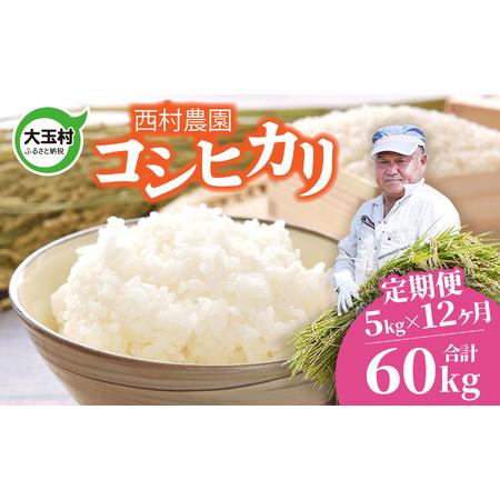ふるさと納税 米 定期便 コシヒカリ 60kg ( 5kg × 12ヶ月 ) 《 令和7年
