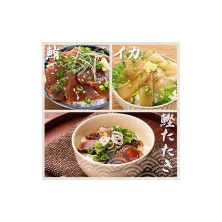 ふるさと納税 【12回定期便】訳あり土佐の海鮮漬け丼（5種×各4袋）セット 漬け丼の素 タイ 鯛 ブリ 鰤 マグロ 鮪 イカ カツオ 鰹 たたき 新.. 高知県土佐市_2
