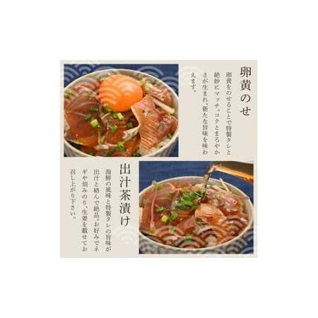 ふるさと納税 【12回定期便】訳あり土佐の海鮮漬け丼（5種×各4袋）セット 漬け丼の素 タイ 鯛 ブリ 鰤 マグロ 鮪 イカ カツオ 鰹 たたき 新.. 高知県土佐市_3