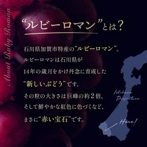 ふるさと納税 【先行予約】ルビーロマン 1房 500g（2026年8月中旬〜9月上旬頃順次発送） ぶどう ブドウ 大粒 先行予約 予約 冷蔵配送 くだもの .. 石川県加賀市の画像
