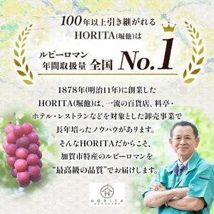 ふるさと納税 【先行予約】ルビーロマン 1房 500g（2026年8月中旬〜9月上旬頃順次発送） ぶどう ブドウ 大粒 先行予約 予約 冷蔵配送 くだもの .. 石川県加賀市の画像