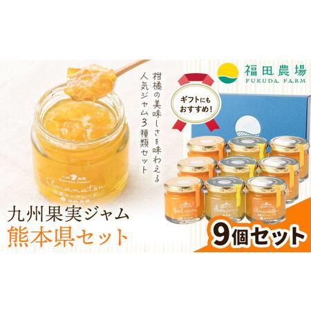 ふるさと納税 九州果実ジャム 熊本県セット 9個セット[30日以内に出荷予定(土日祝日除く)]福田農場 熊本県津奈木町
