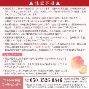 ふるさと納税 【8月上旬発送 先行予約】スイートリッチ 3kg(中生ワッサー） 長野県長野市の画像