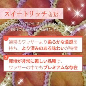 ふるさと納税 【8月上旬発送 先行予約】スイートリッチ 3kg(中生ワッサー） 長野県長野市の画像