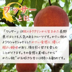 ふるさと納税 【8月上旬発送 先行予約】スイートリッチ 3kg(中生ワッサー） 長野県長野市の画像