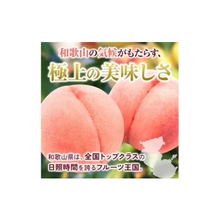 ふるさと納税 【先行予約】和歌山県産の 桃 6〜8個(2kg) / もも モモ 甘い フルーツ 果物 くだもの 厳選 ※2026年7月上旬〜8月上旬発送 ※北海.. 和歌山県由良町の画像