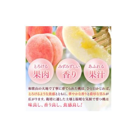 ふるさと納税 【先行予約】和歌山県産の 桃 6〜8個(2kg) / もも モモ 甘い フルーツ 果物 くだもの 厳選 ※2026年7月上旬〜8月上旬発送 ※北海.. 和歌山県由良町の画像