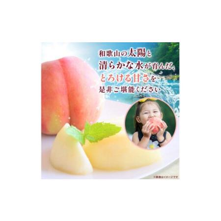 ふるさと納税 【先行予約】和歌山県産の 桃 6〜8個(2kg) / もも モモ 甘い フルーツ 果物 くだもの 厳選 ※2026年7月上旬〜8月上旬発送 ※北海.. 和歌山県由良町の画像