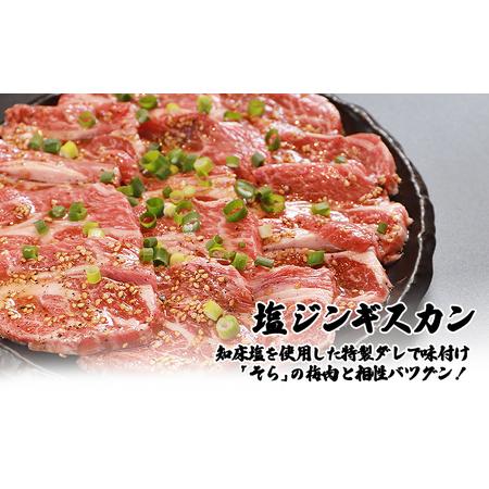 ふるさと納税 【定期便：全6回】知床ジンギスカン店「そら」子ヒツジ肩ロースジンギスカン2種仕かける 計600g（味付け×300g・塩×300g）【1.. 北海道中標津町
