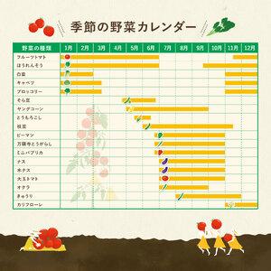 ふるさと納税 季節 野菜 詰め合わせ 500g 果物 産地直送 朝どれ 詰め合わせ とれたて 濃厚 ごほうびとまと 風の子ファーム フルーツトマト ほう.. 埼玉県羽生市の画像
