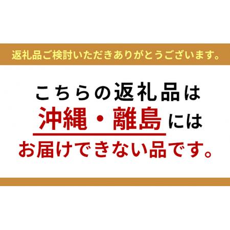 ふるさと納税 訳あり 惣菜 10食 セット 惣菜 静岡県藤枝市_4