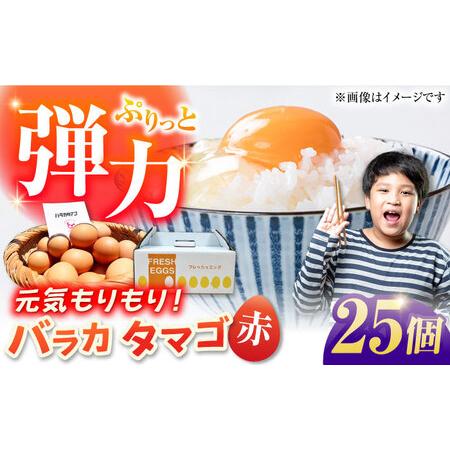 ふるさと納税 【箱入り】バラカタマゴ 25個入 M-Lサイズ 卵 玉子 ふるさと納税 【箱入り】バラカタマゴ 25個入 M-Lサイズ 卵 玉子