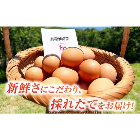 ふるさと納税 【箱入り】バラカタマゴ 25個入 M-Lサイズ 卵 玉子 ふるさと納税 【箱入り】バラカタマゴ 25個入 M-Lサイズ 卵 玉子