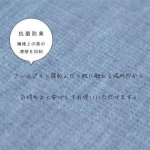 ふるさと納税 カーペット 日本製 抗菌防臭 ペット対応 ビオラ 261×261cm 江戸間 4.5畳 ブルー【1518737】 大阪府和泉市の画像