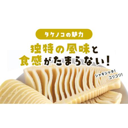 ふるさと納税 タケノコ 約5kg 【 ふるさと納税 人気 おすすめ ランキング 筍 山菜 タケノコ 野菜 やさい お取り寄せ ご当地 特産品 千葉県 山武.. 千葉県山武市の画像