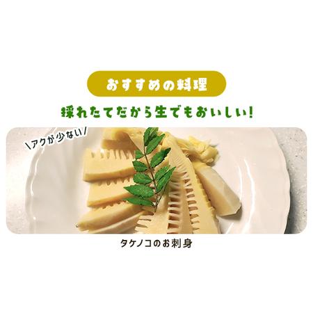 ふるさと納税 タケノコ 約5kg 【 ふるさと納税 人気 おすすめ ランキング 筍 山菜 タケノコ 野菜 やさい お取り寄せ ご当地 特産品 千葉県 山武.. 千葉県山武市の画像