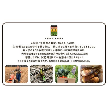 ふるさと納税 タケノコ 約5kg 【 ふるさと納税 人気 おすすめ ランキング 筍 山菜 タケノコ 野菜 やさい お取り寄せ ご当地 特産品 千葉県 山武.. 千葉県山武市の画像