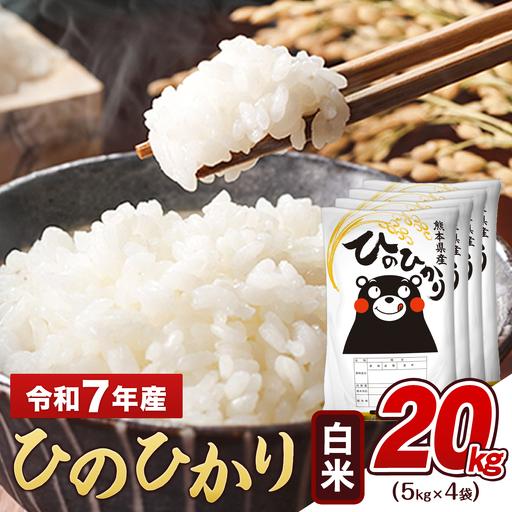 ふるさと納税 白米 令和7年産 ひのひかり 20kg 米 熊本県玉東町 : ふる