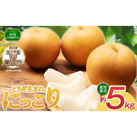 ふるさと納税 [2026年先行予約]にっこり 梨 5kg[栃木県共通返礼品]P0 栃木県 下野市 栃木県下野市
