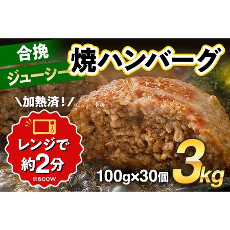 ふるさと納税 ハンバーグ 合挽焼 100g×30個 計3kg ハンバーグ 福岡県田川市