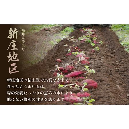 ふるさと納税 【先行予約】大谷原の熟成さつまいも (5kg 土付き) 約25本【入手困難・数量限定】【2026年10月下旬以降順次発送予定】【サツマイモ.. 福井県美浜町の画像