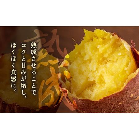 ふるさと納税 【先行予約】大谷原の熟成さつまいも (5kg 土付き) 約25本【入手困難・数量限定】【2026年10月下旬以降順次発送予定】【サツマイモ.. 福井県美浜町の画像