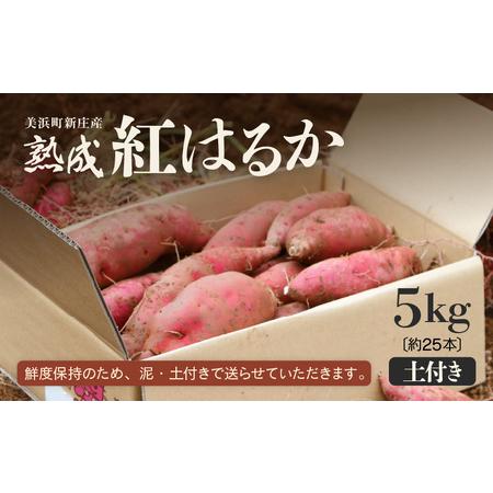 ふるさと納税 【先行予約】大谷原の熟成さつまいも (5kg 土付き) 約25本【入手困難・数量限定】【2026年10月下旬以降順次発送予定】【サツマイモ.. 福井県美浜町の画像
