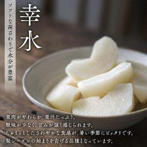 ふるさと納税 【 JA 北つくば 】 筑西ブランド 認証品 梨 3種 定期便 セット 2026年産 先行予約 茨城県筑西市の画像