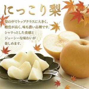 ふるさと納税 【 JA 北つくば 】 筑西ブランド 認証品 梨 3種 定期便 セット 2026年産 先行予約 茨城県筑西市の画像