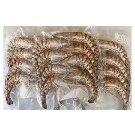 ふるさと納税 活〆 急速冷凍 クルマエビ 250g　【冷凍発送】 徳島県鳴門市_4