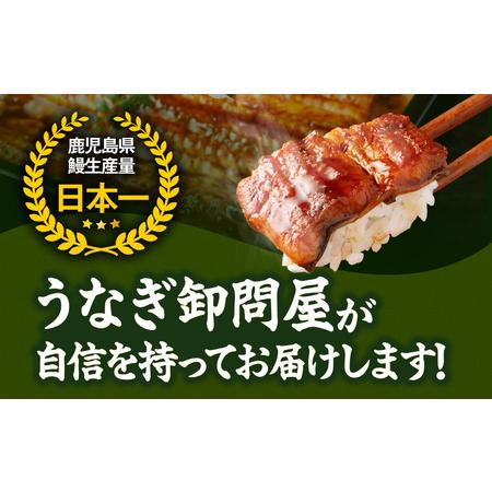 ふるさと納税 2482 【 定期 3回 】大隅特産 うなぎ蒲焼 3尾（510g 